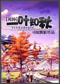 一叶知秋封面