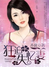 狂追失忆妻封面