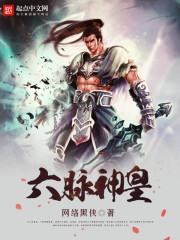 六脉神皇封面