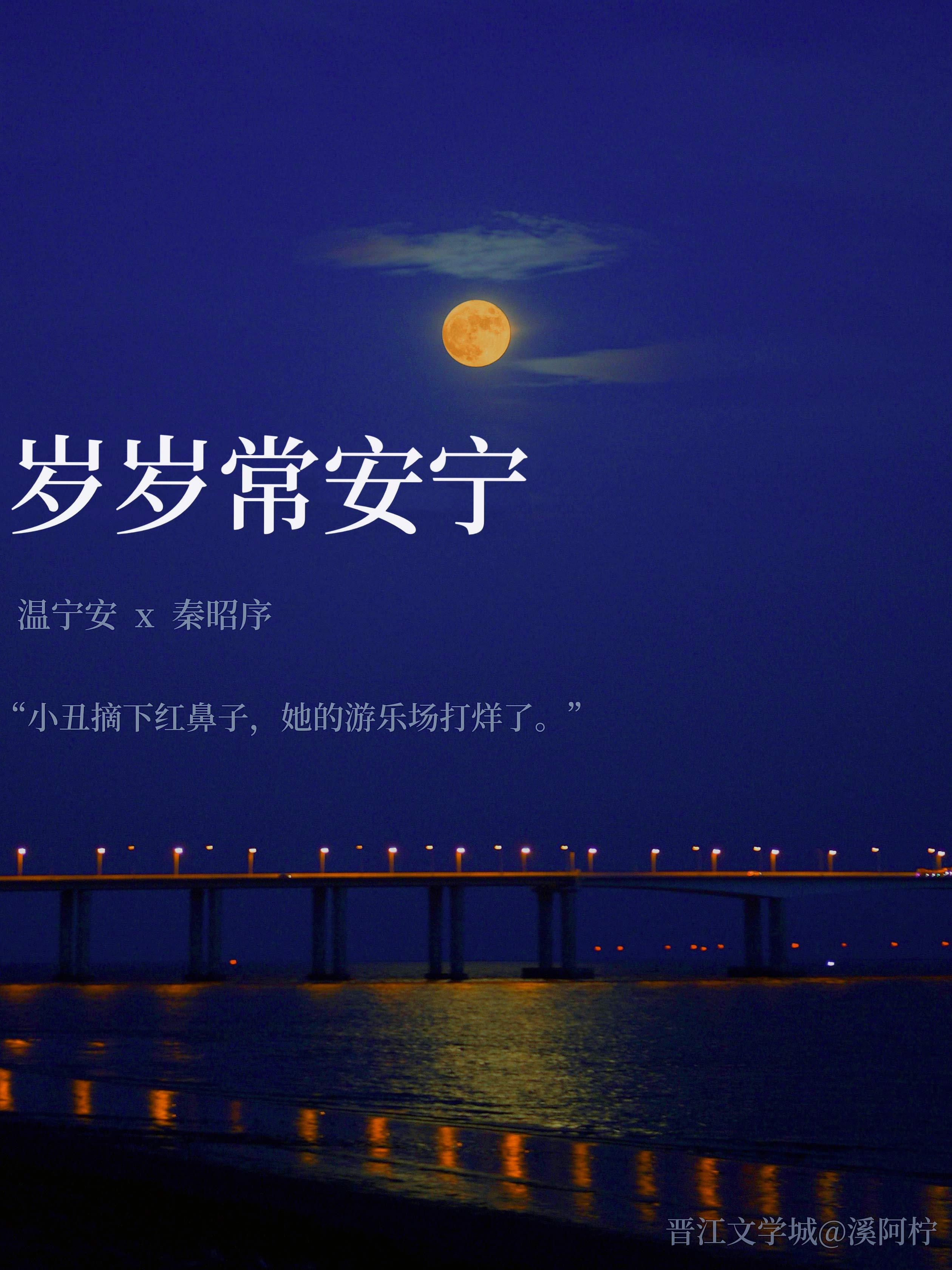 岁岁常安宁封面