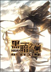 黑暗之侧封面