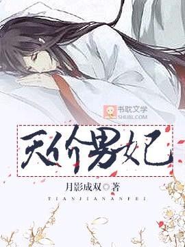 天价男妃封面