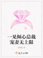 一见倾心总裁宠妻无上限封面