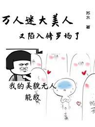 白殊容苏水封面