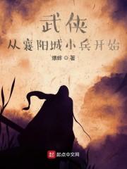 武侠从襄阳城小兵开始封面