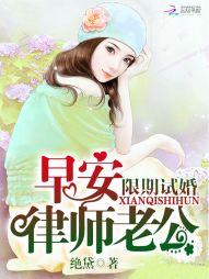 限期试婚：早安，律师老公封面