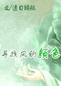 寻找风的颜色封面