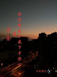 老婆，放在眼皮子底下才安心封面