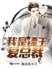 我是镖王爱总裁封面