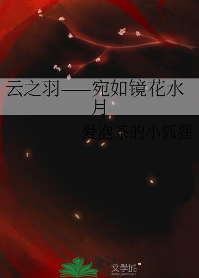 云之羽——宛如镜花水月封面