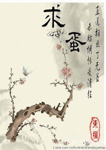 求蛋封面