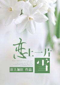 脱与逃封面