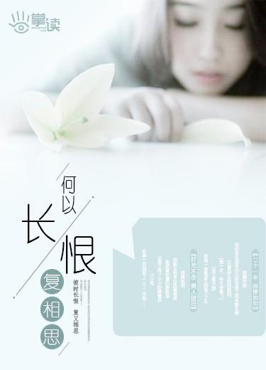 何以长恨覆相思封面