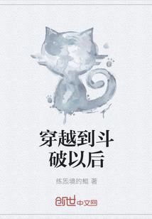 穿越到斗破以后封面
