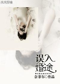 误入婚途封面