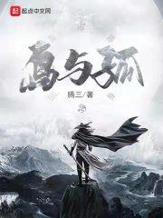 岛与孤封面