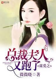 谋爱之总裁夫人又跑了封面