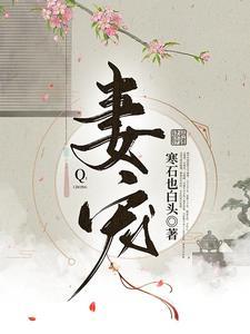 妻宠封面