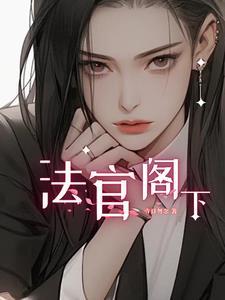 法官阁下封面