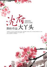 沈府大丫头封面