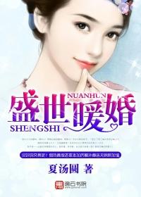 盛世暖婚封面