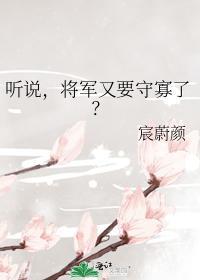 听说，将军又要守寡了封面