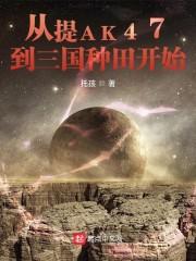 从提AK47到三国种田开始封面