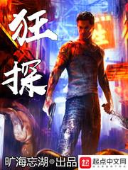 狂探赵玉曲萍封面