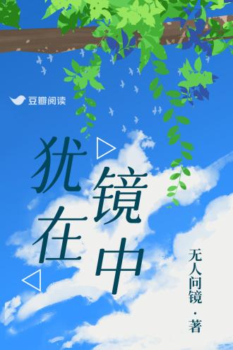 犹在镜中封面