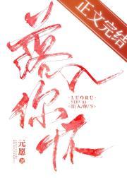 落入你怀封面