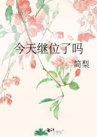 今天继位了吗封面