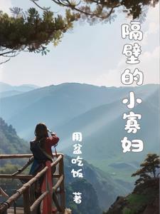 隔壁的小寡妇封面