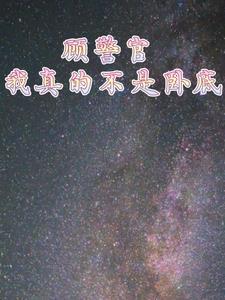 顾警官我真的不是卧底封面