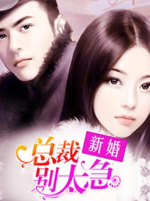 新婚总裁别太急封面