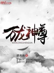 万龙神尊封面