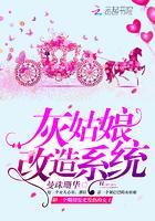 灰姑娘改造系统封面