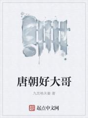 唐朝好大哥封面
