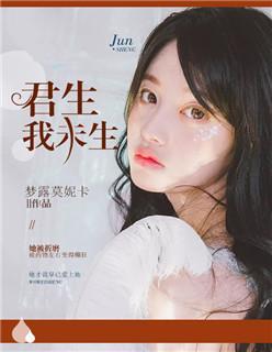 君生我未生封面