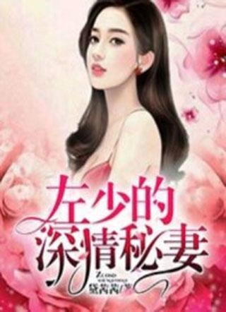 左少的深情秘妻许愿左占封面