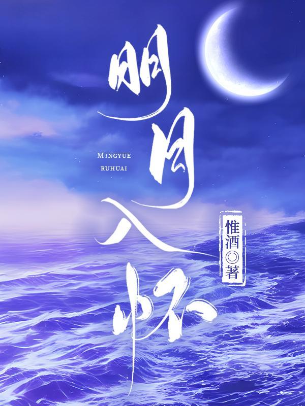 明月入怀封面