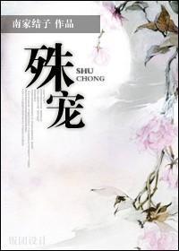 殊宠封面
