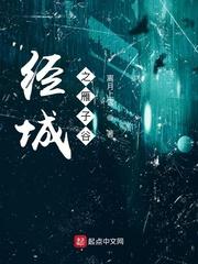 经城之雁子谷封面
