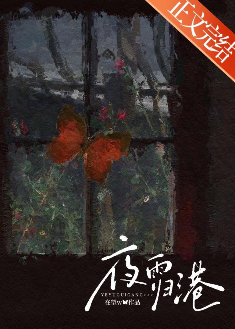 夜雨归港封面