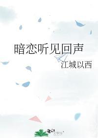 暗恋听见回声封面