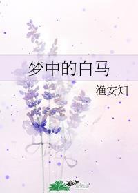 梦中的白马封面