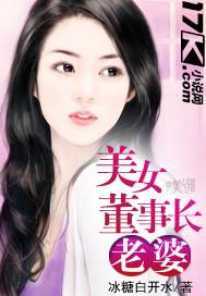 美女董事长老婆封面