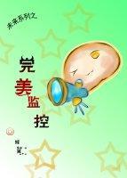 完美监控（未来穿古）封面