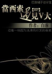 当西索遇见V大封面