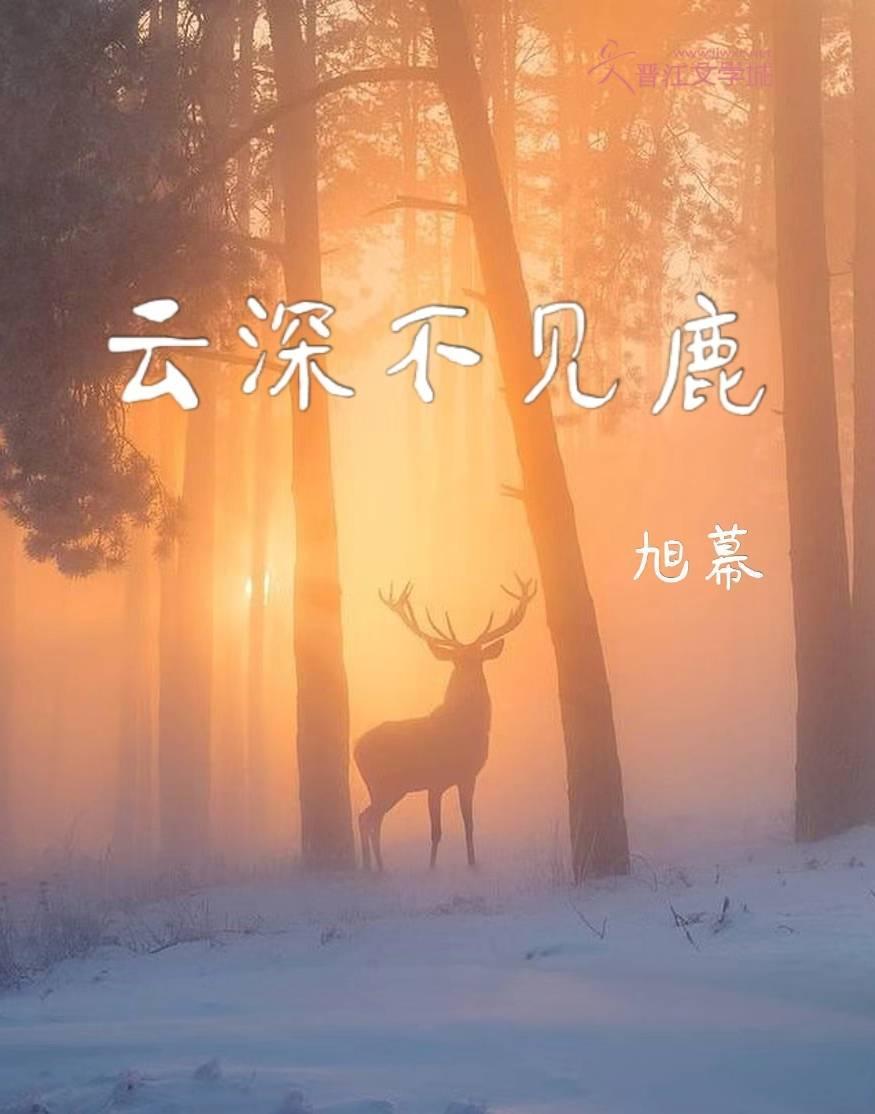 云深不见鹿封面