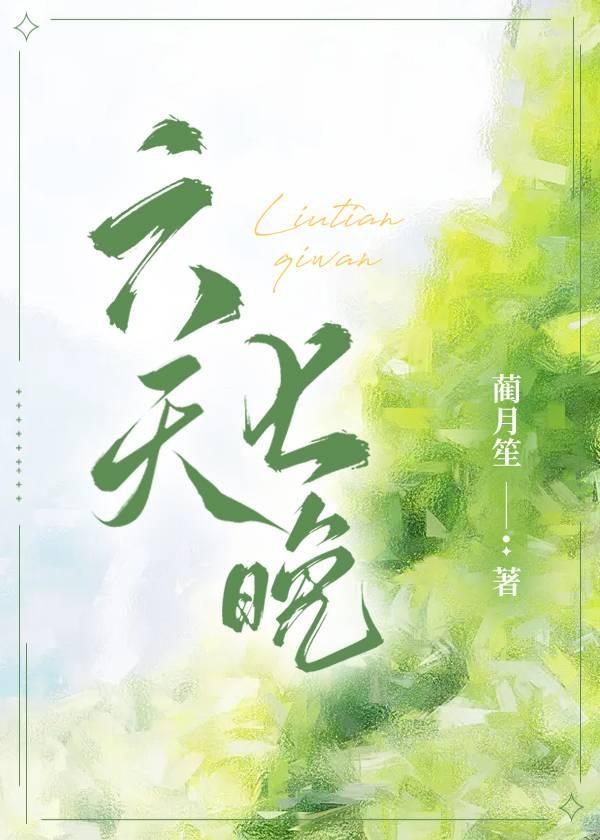 六天七晚封面
